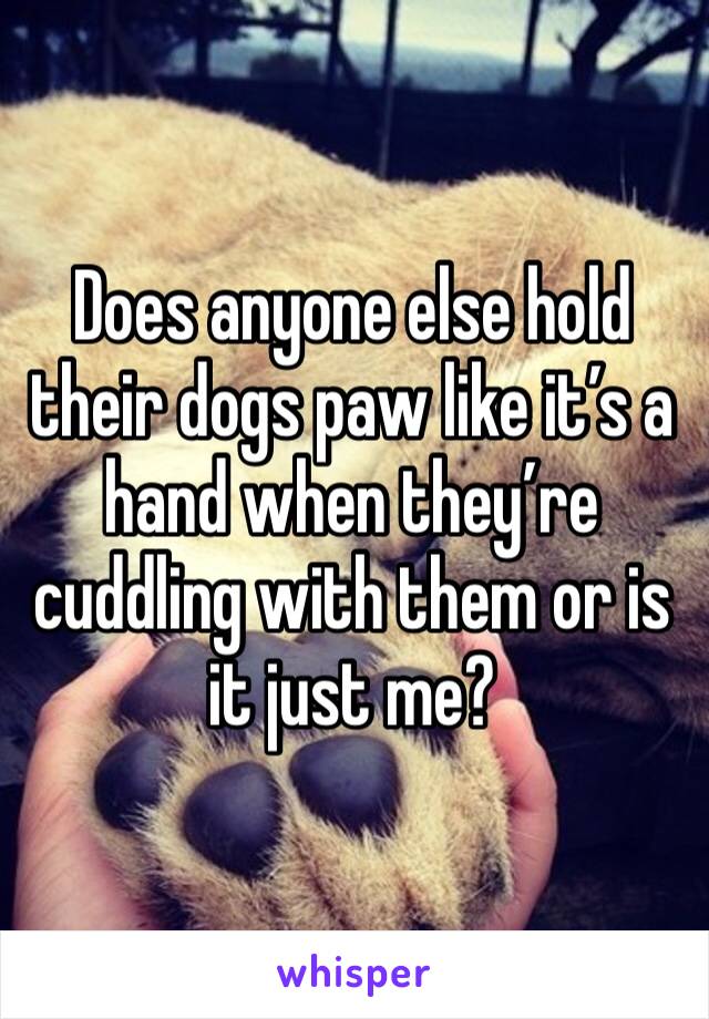 Does anyone else hold their dogs paw like it’s a hand when they’re cuddling with them or is it just me?