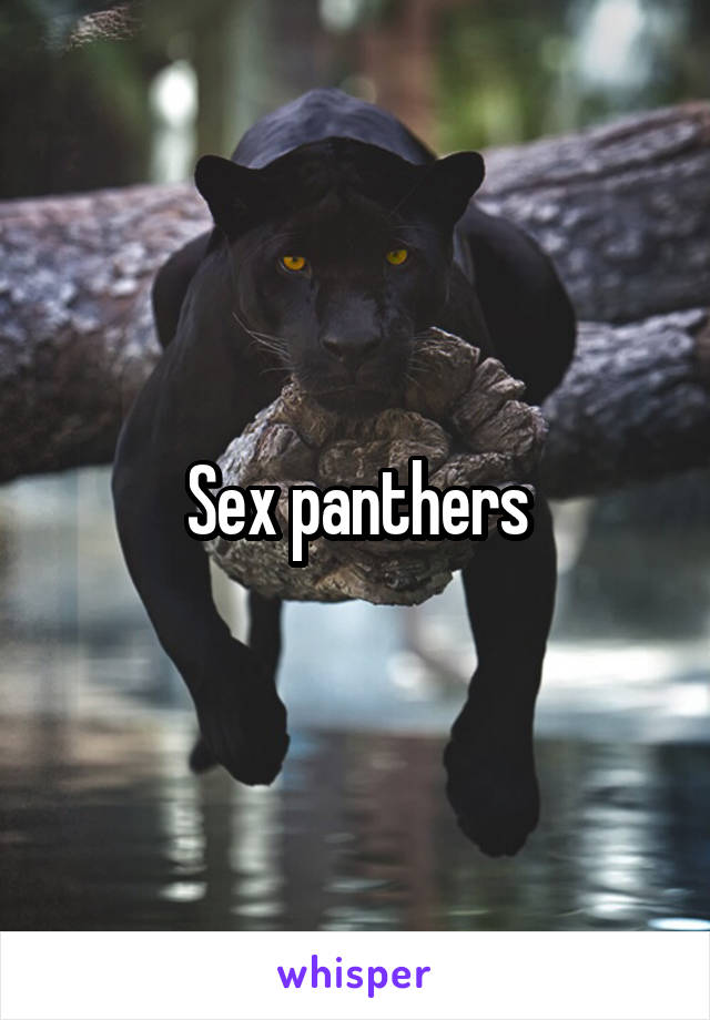 Sex panthers