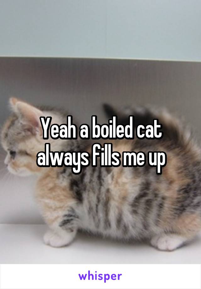 Yeah a boiled cat always fills me up
