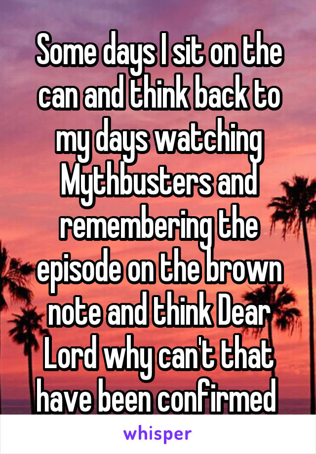 Some days I sit on the can and think back to my days watching Mythbusters and remembering the episode on the brown note and think Dear Lord why can't that have been confirmed 