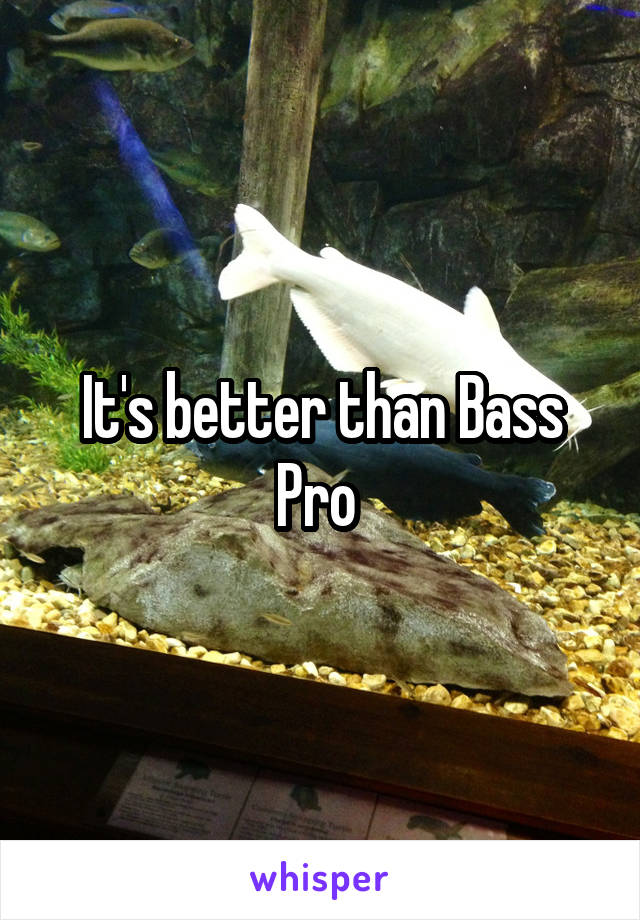 It's better than Bass Pro 