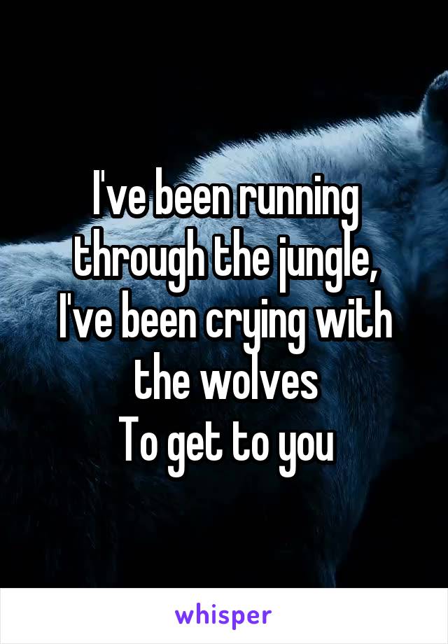 I've been running through the jungle,
I've been crying with the wolves
To get to you