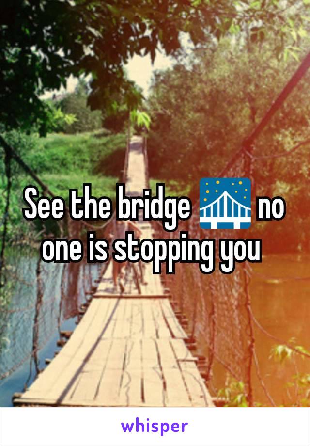 See the bridge 🌉 no one is stopping you 