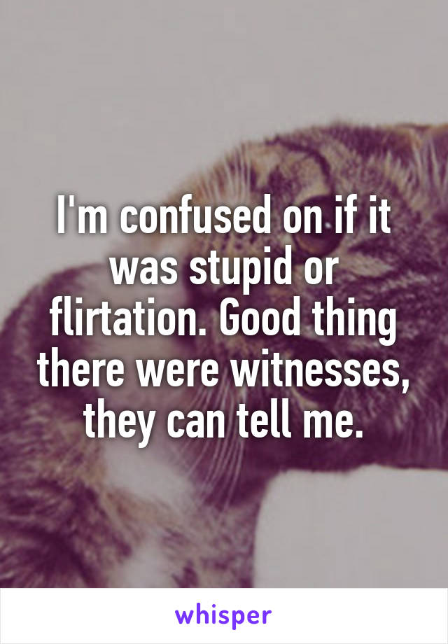 I'm confused on if it was stupid or flirtation. Good thing there were witnesses, they can tell me.