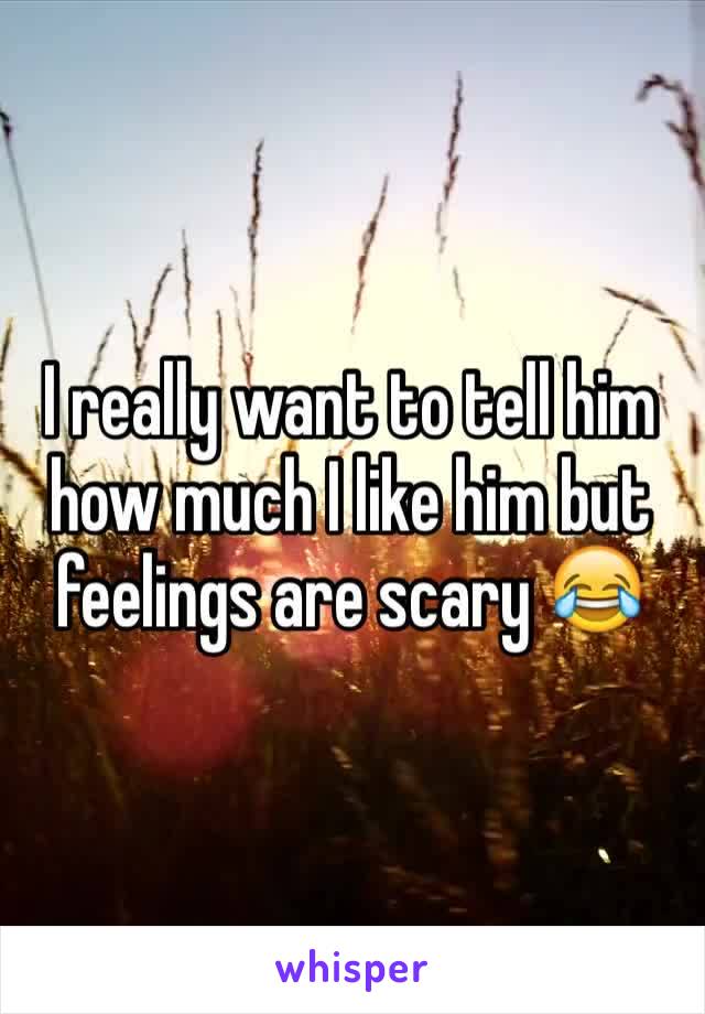 I really want to tell him how much I like him but feelings are scary 😂