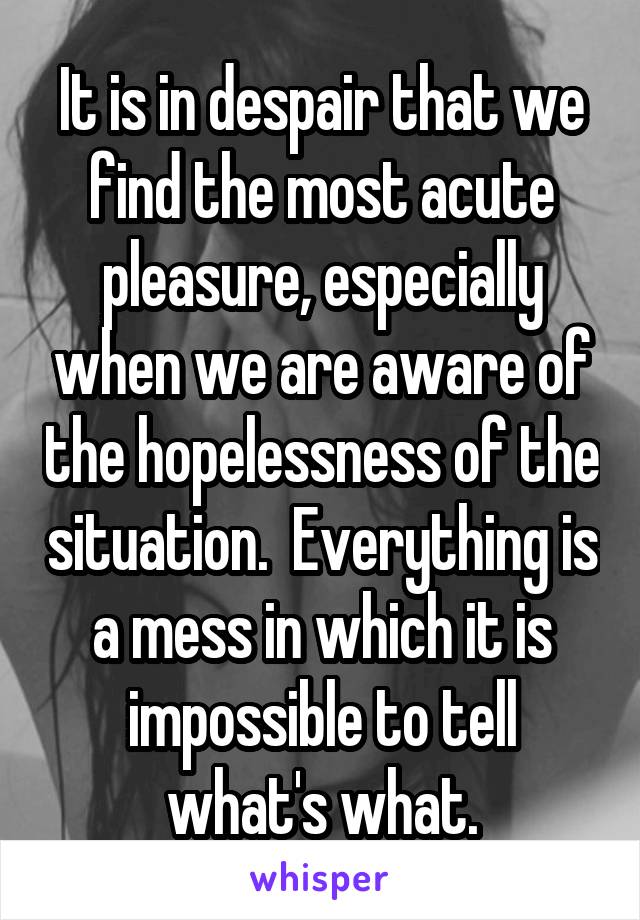 It is in despair that we find the most acute pleasure, especially when we are aware of the hopelessness of the situation.  Everything is a mess in which it is impossible to tell what's what.