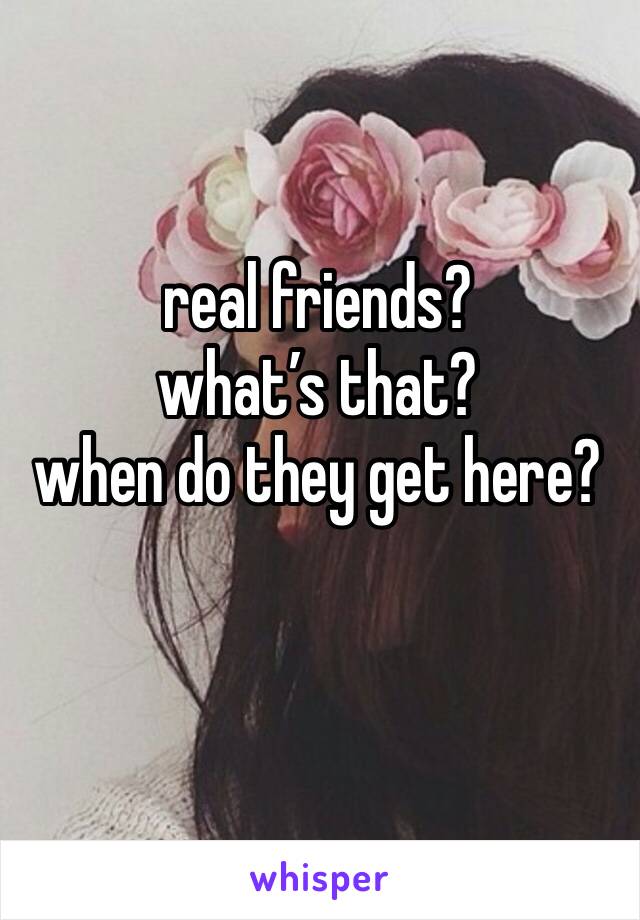 real friends?
what’s that?
when do they get here?