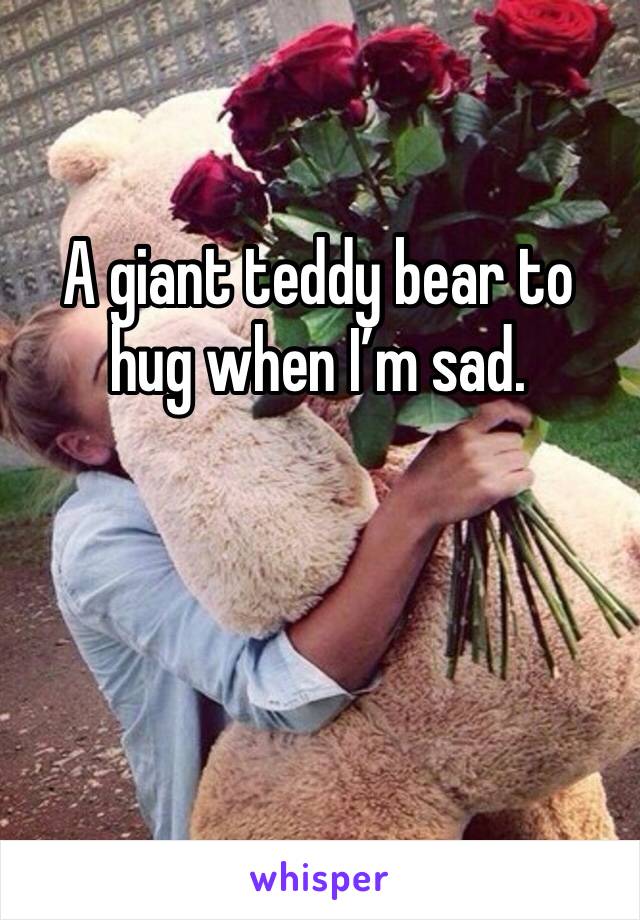 A giant teddy bear to hug when I’m sad. 