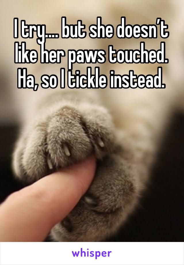 I try.... but she doesn’t like her paws touched. Ha, so I tickle instead.