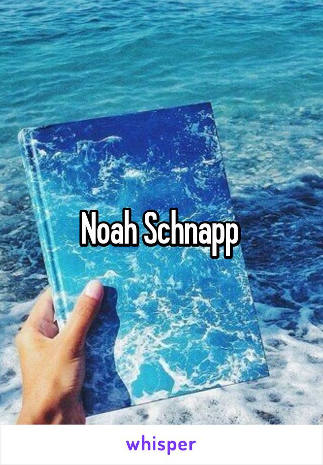 Noah Schnapp 