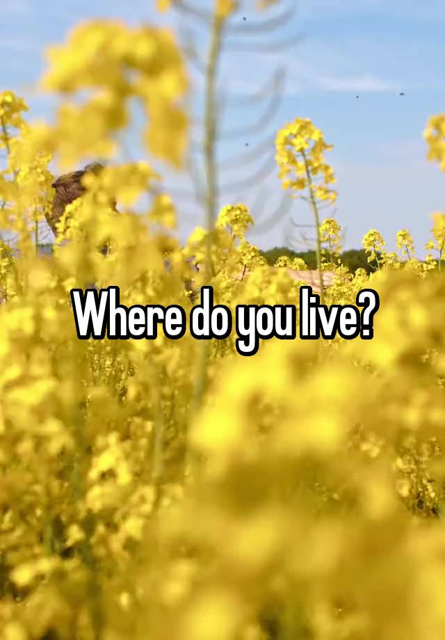 where-do-you-live