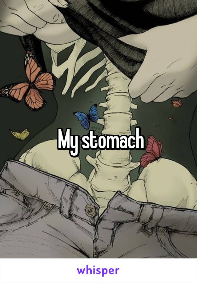  My stomach
