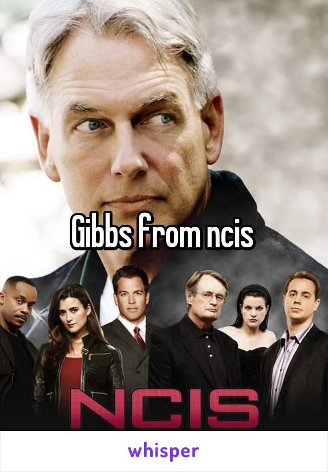 Gibbs from ncis 