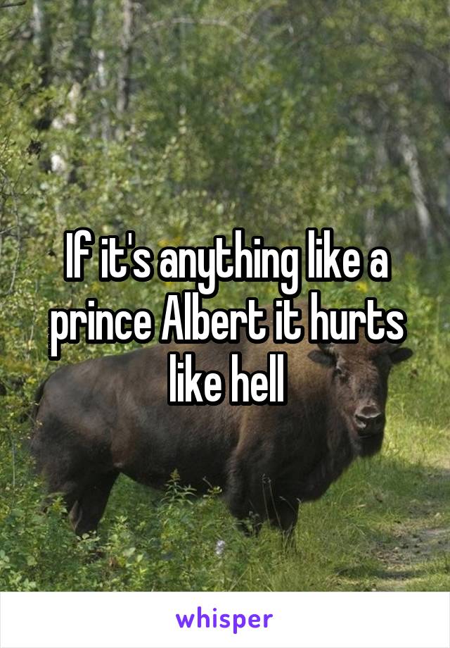 If it's anything like a prince Albert it hurts like hell
