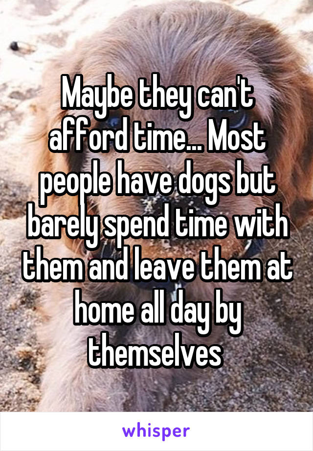Maybe they can't afford time... Most people have dogs but barely spend time with them and leave them at home all day by themselves 