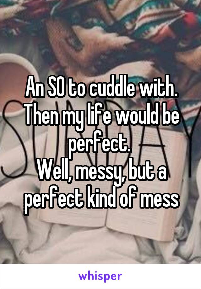 An SO to cuddle with. Then my life would be perfect. 
Well, messy, but a perfect kind of mess