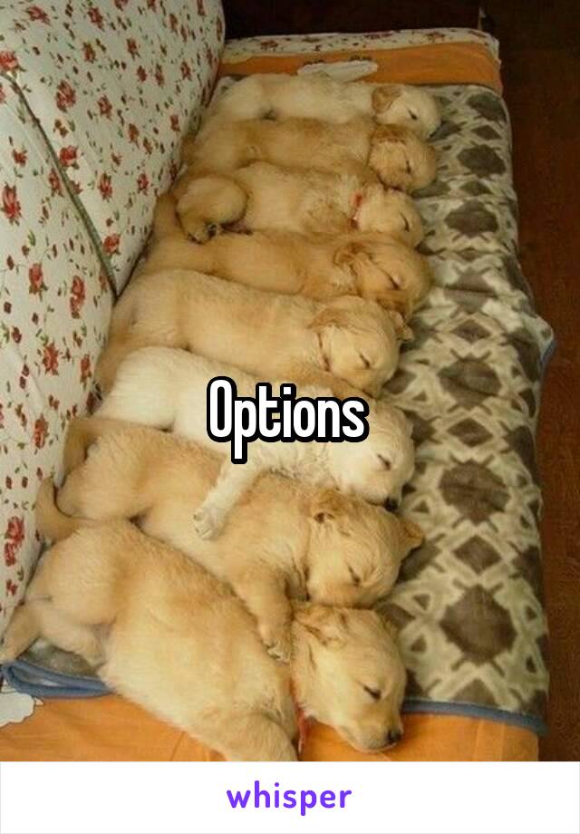 Options 