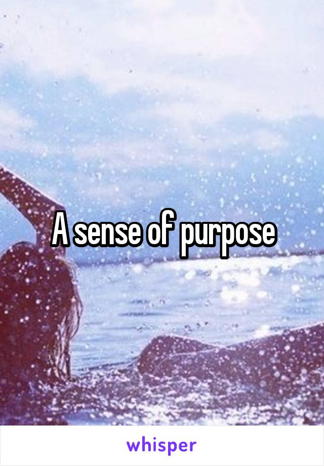 A sense of purpose