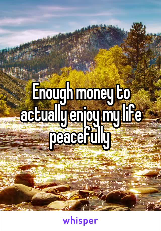 Enough money to actually enjoy my life peacefully 