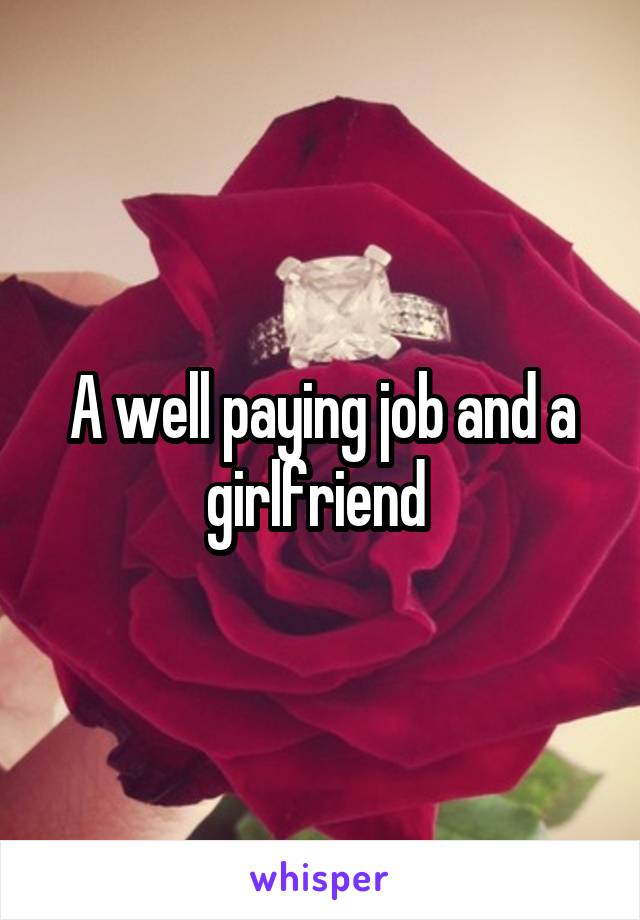 A well paying job and a girlfriend 