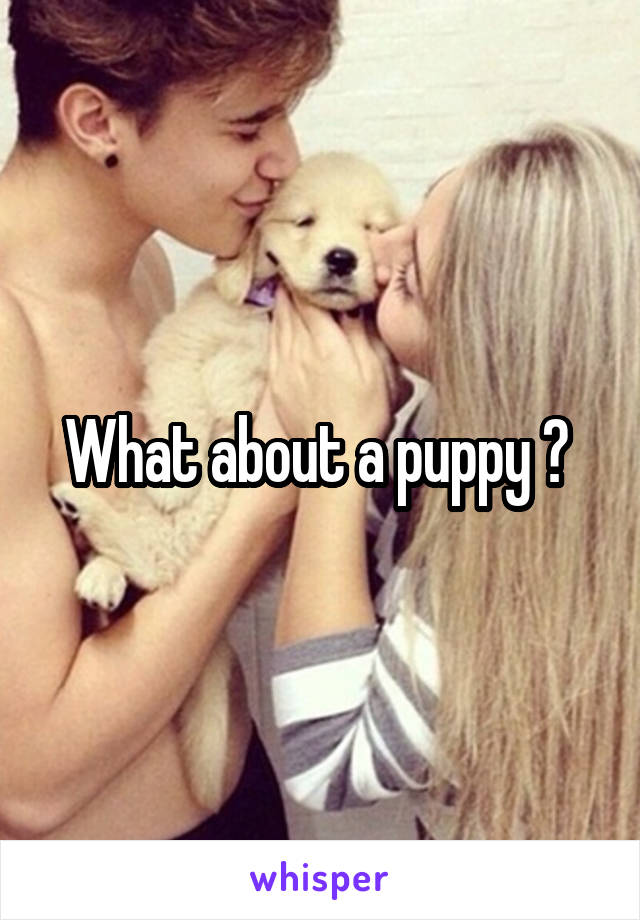 What about a puppy ? 