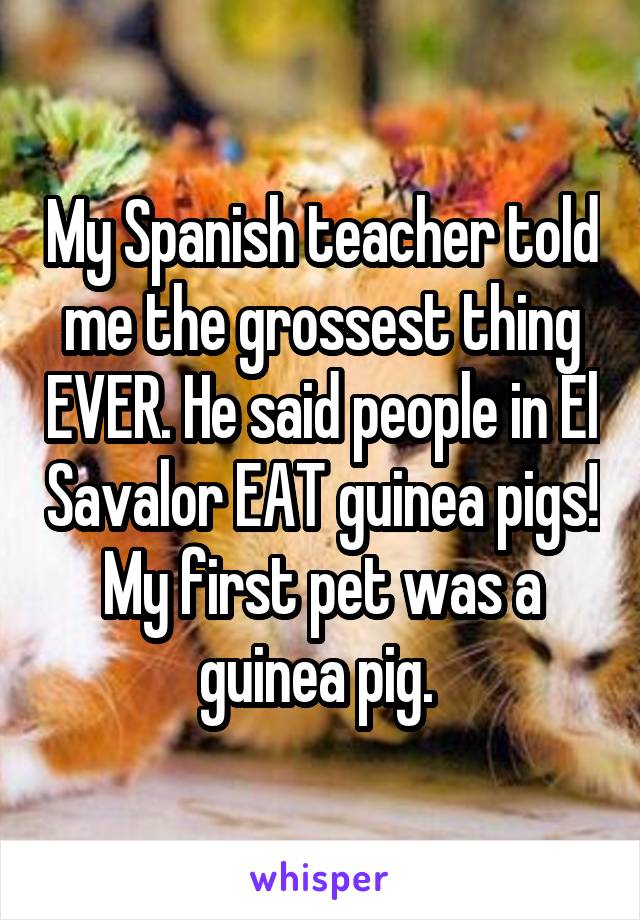 My Spanish teacher told me the grossest thing EVER. He said people in El Savalor EAT guinea pigs! My first pet was a guinea pig. 