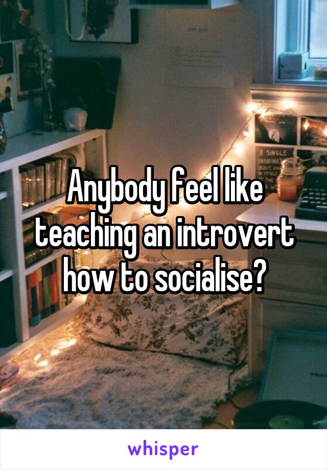Anybody feel like teaching an introvert how to socialise?