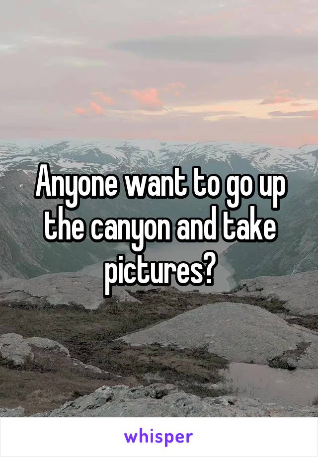 Anyone want to go up the canyon and take pictures?