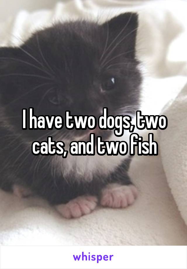 I have two dogs, two cats, and two fish
