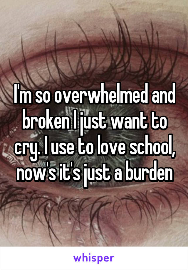 I'm so overwhelmed and broken I just want to cry. I use to love school, now's it's just a burden