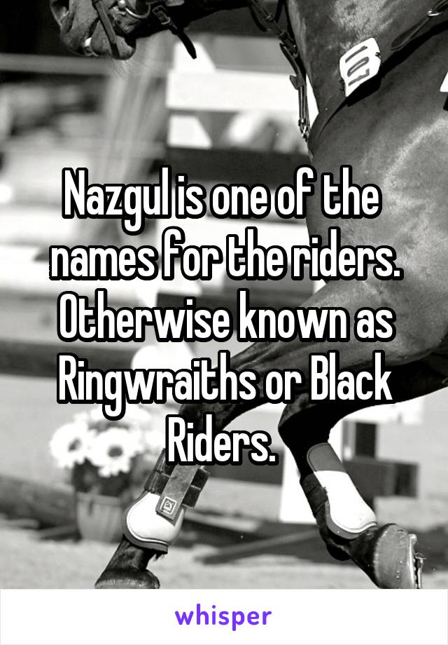 Nazgul is one of the  names for the riders. Otherwise known as Ringwraiths or Black Riders. 