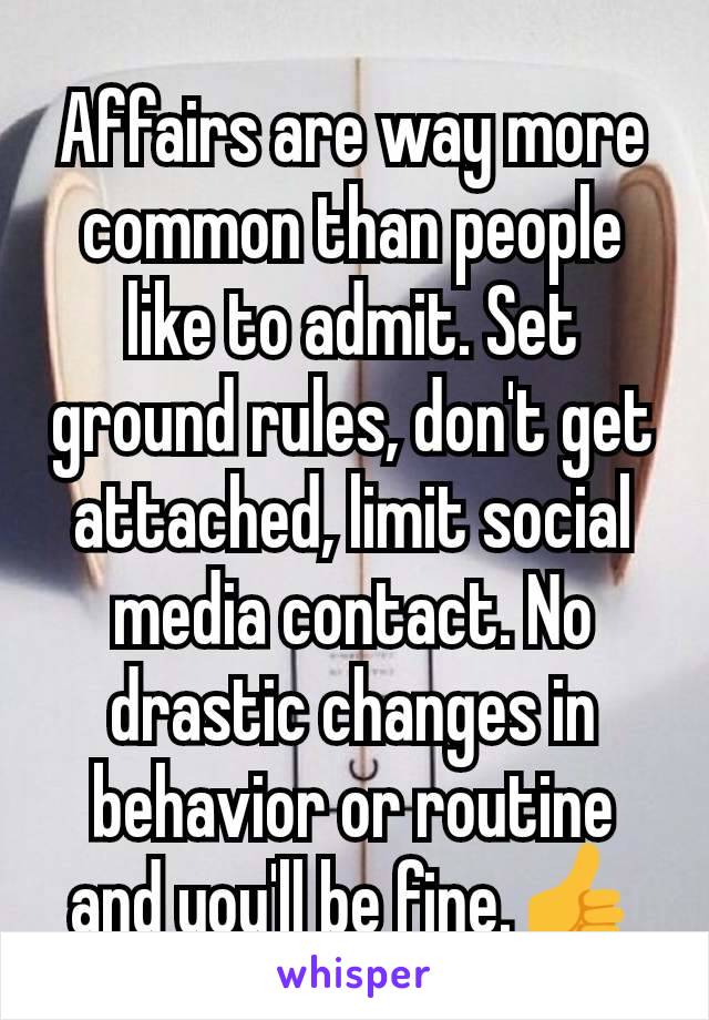 Affairs are way more common than people like to admit. Set ground rules, don't get attached, limit social media contact. No drastic changes in behavior or routine and you'll be fine.👍