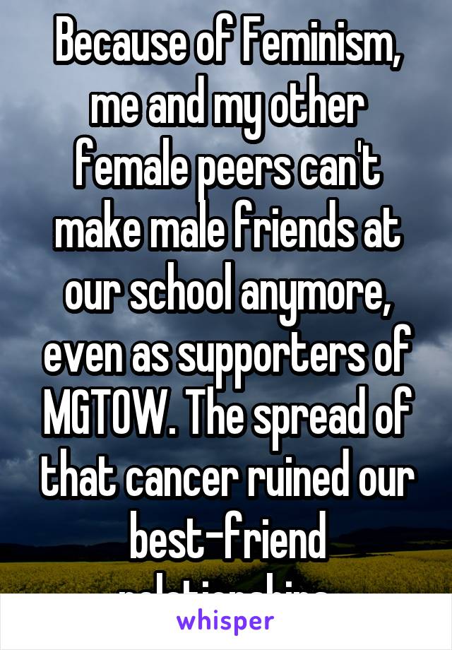 Because of Feminism, me and my other female peers can't make male friends at our school anymore, even as supporters of MGTOW. The spread of that cancer ruined our best-friend relationships.