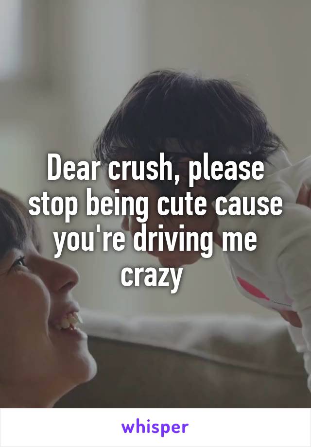 Dear crush, please stop being cute cause you're driving me crazy 