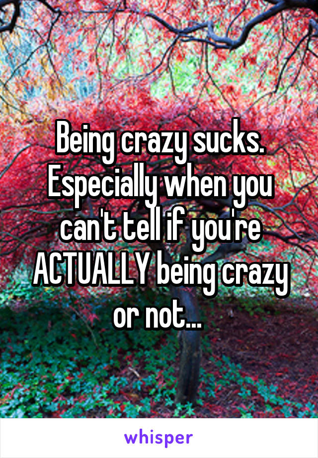 Being crazy sucks. Especially when you can't tell if you're ACTUALLY being crazy or not... 