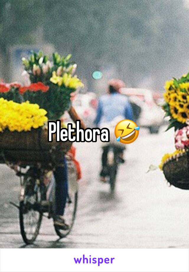 Plethora 🤣