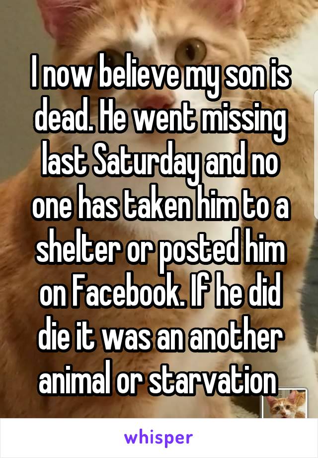 I now believe my son is dead. He went missing last Saturday and no one has taken him to a shelter or posted him on Facebook. If he did die it was an another animal or starvation 