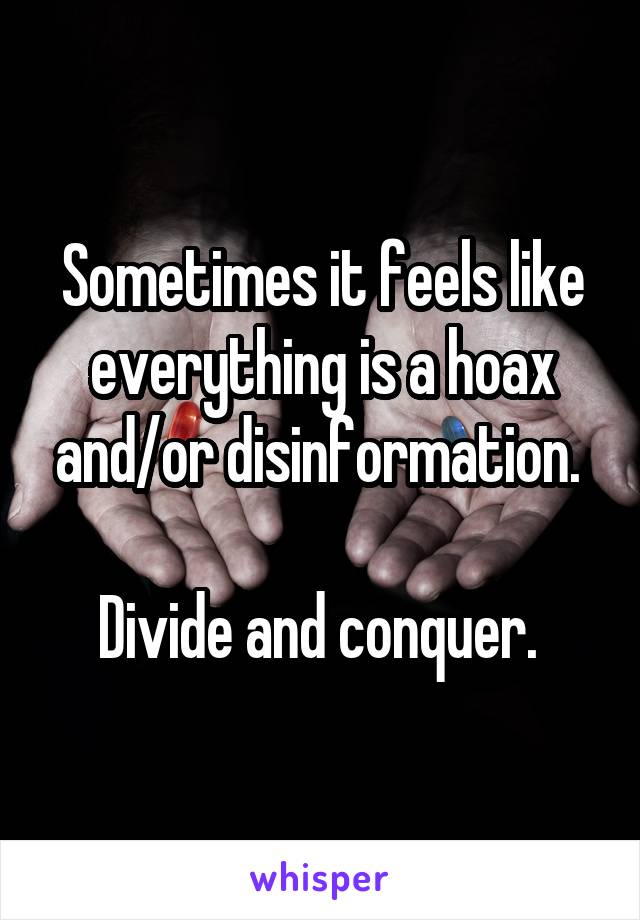 Sometimes it feels like everything is a hoax and/or disinformation. 

Divide and conquer. 