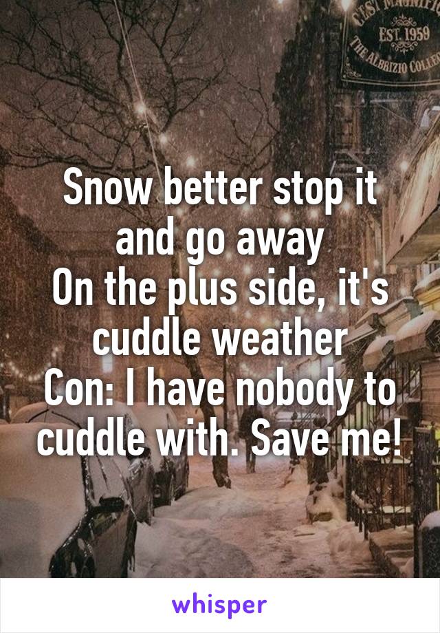 Snow better stop it and go away
On the plus side, it's cuddle weather
Con: I have nobody to cuddle with. Save me!