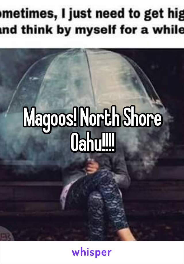 Magoos! North Shore Oahu!!!!