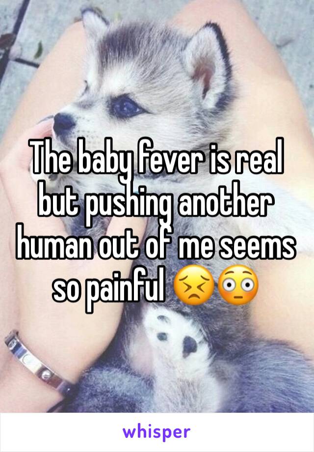 The baby fever is real but pushing another human out of me seems so painful 😣😳