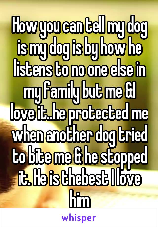 How you can tell my dog is my dog is by how he listens to no one else in my family but me &I love it..he protected me when another dog tried to bite me & he stopped it. He is thebest I love him
