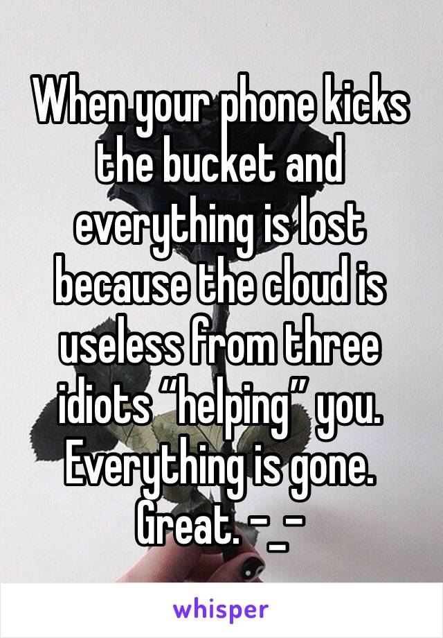When your phone kicks the bucket and everything is lost because the cloud is useless from three idiots “helping” you. Everything is gone. Great. -_-