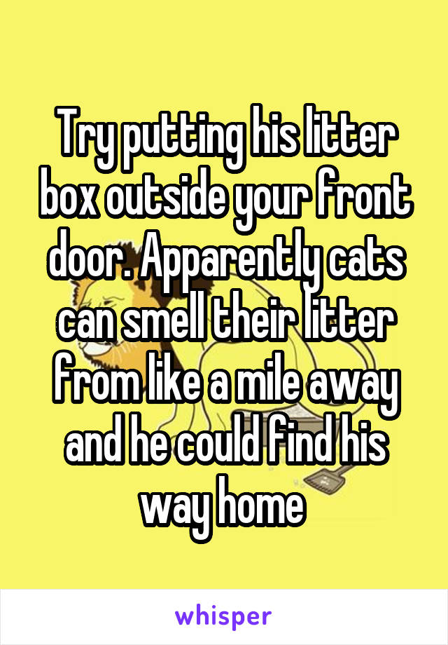 Try putting his litter box outside your front door. Apparently cats can smell their litter from like a mile away and he could find his way home 