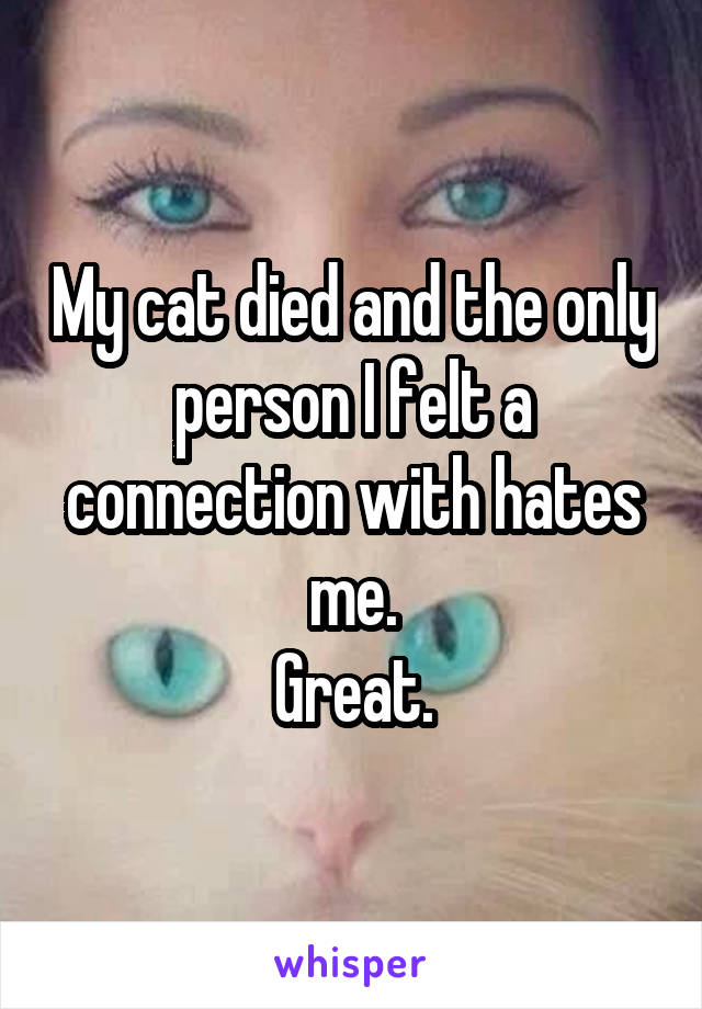 My cat died and the only person I felt a connection with hates me.
Great.