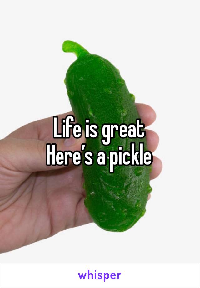Life is great 
Here’s a pickle 