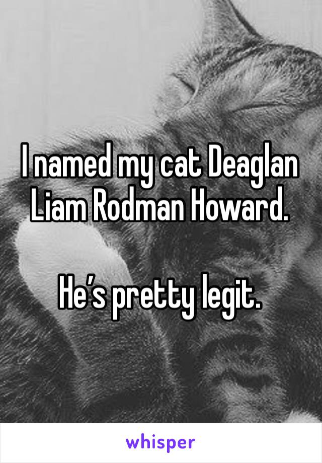 I named my cat Deaglan Liam Rodman Howard.

He’s pretty legit.