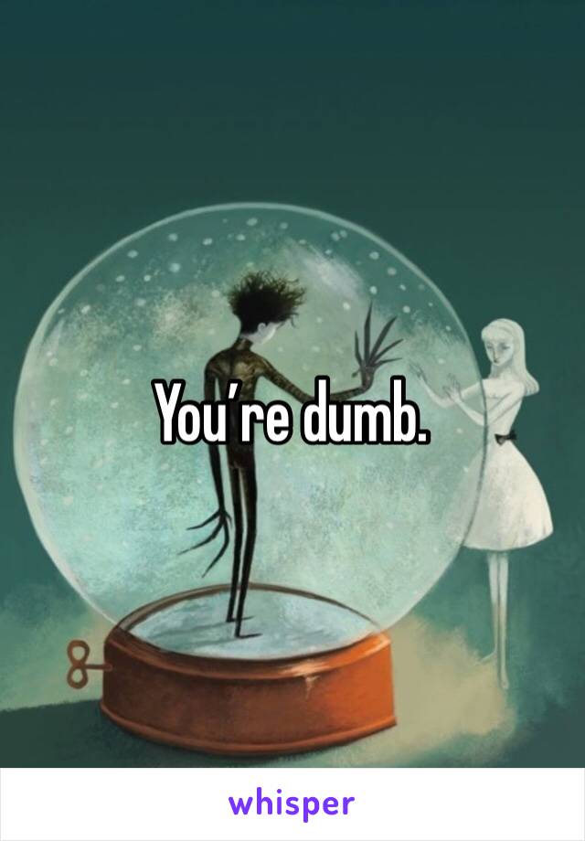 You’re dumb.