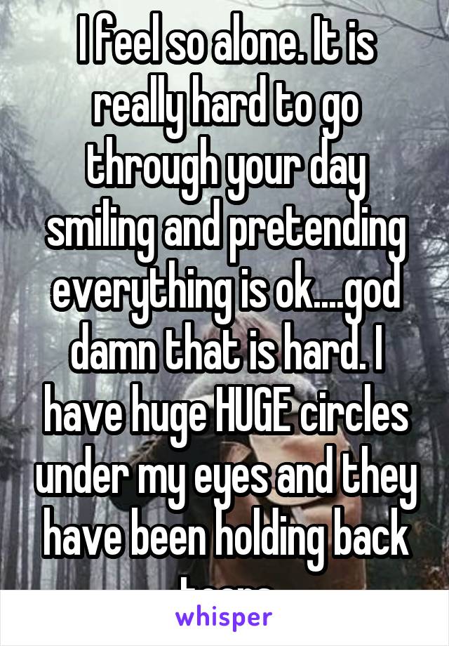 I feel so alone. It is really hard to go through your day smiling and pretending everything is ok....god damn that is hard. I have huge HUGE circles under my eyes and they have been holding back tears