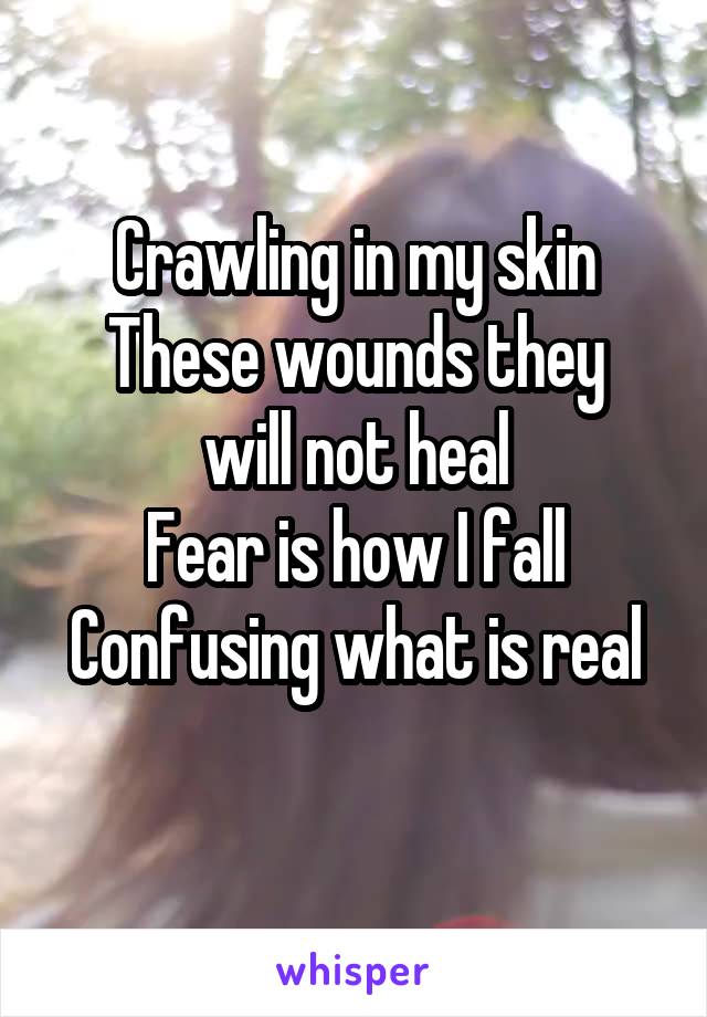 Crawling in my skin
These wounds they will not heal
Fear is how I fall
Confusing what is real
